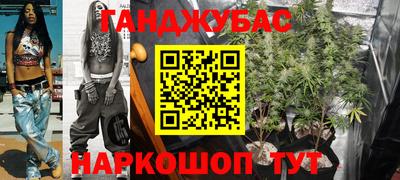 мдпв Камышлов