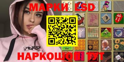 мдпв Камышлов