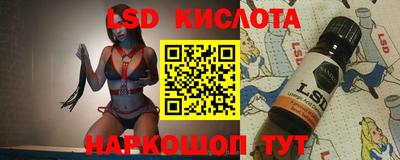 мдпв Камышлов