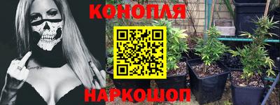 мдпв Камышлов