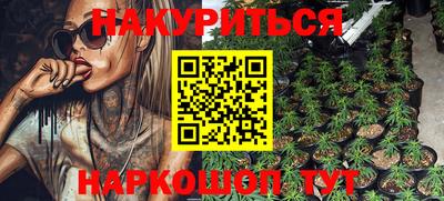 мдпв Камышлов