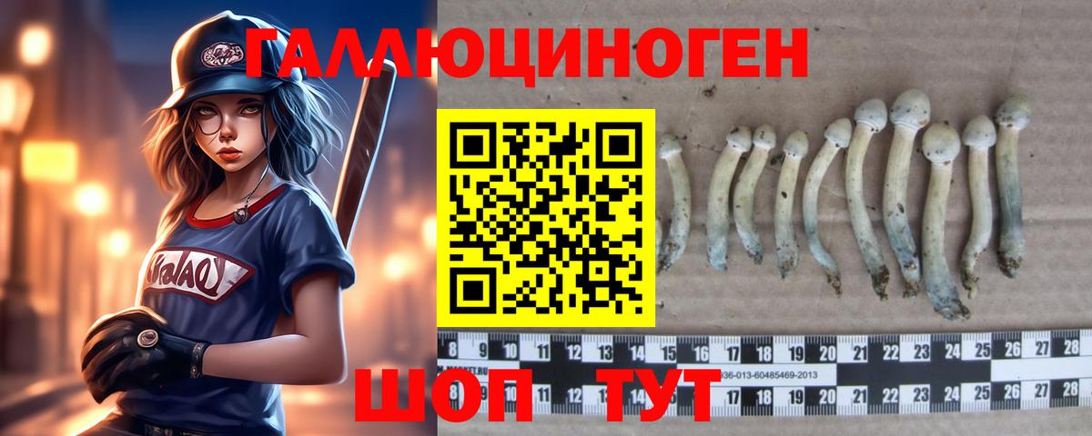 Псилоцибиновые грибы Psilocybine cubensis  Вход с VPN  Красноярск 